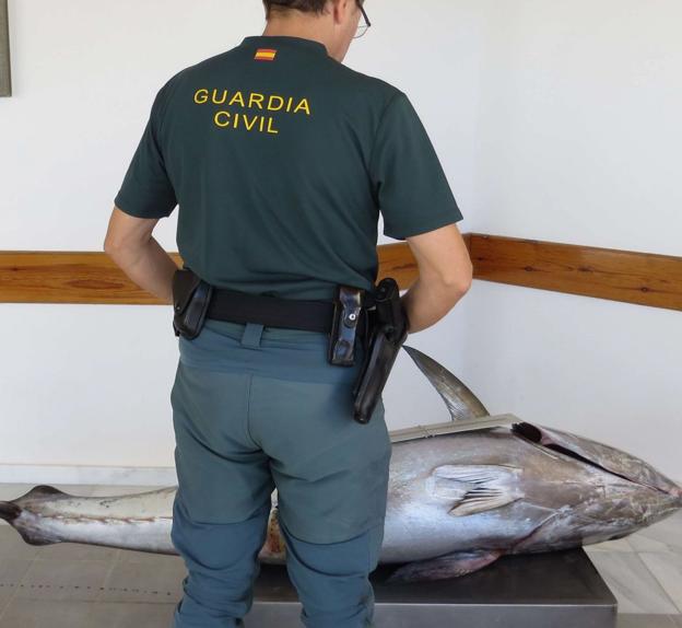 Un agente de la Guardia Civil junto a un atún procedente de pesca ilegal en Almería. 