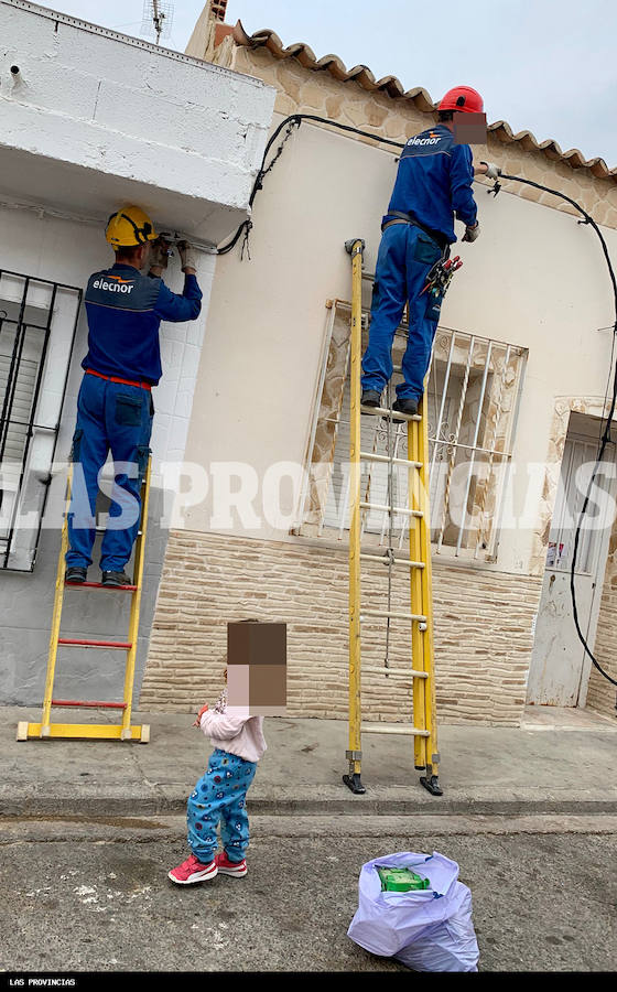 Fotos: Golpe al cultivo de marihuana en Carlet