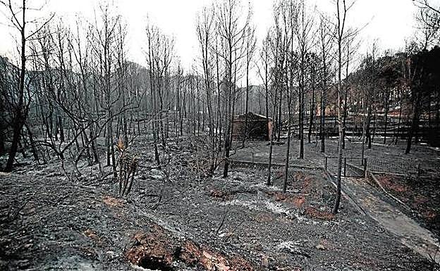 La superficie quemada se duplica mientras el Consell incumple las medidas de prevención