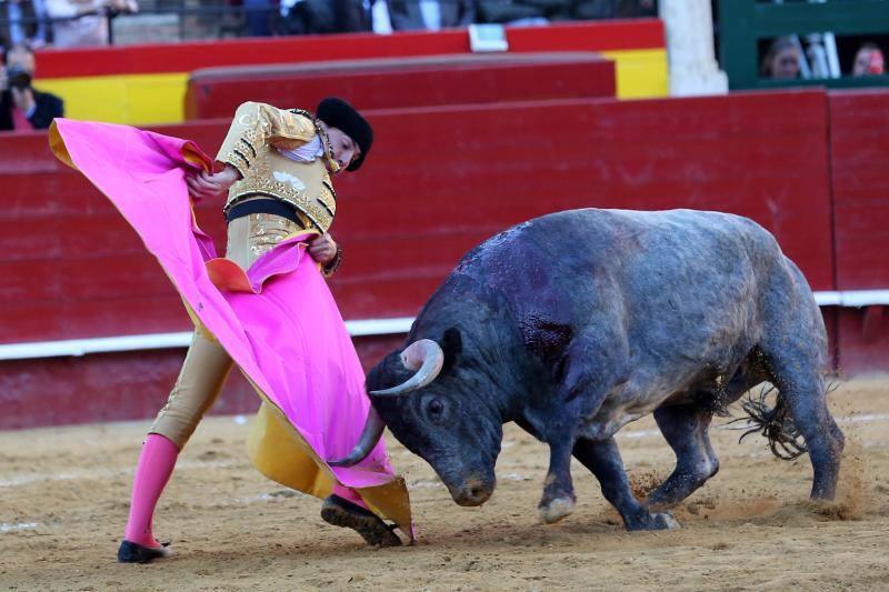 El segundo toro de la tarde de la  primera corrida de la Feria de Fallas de Valencia , llamado el Enterado, abrió el frasco de las emociones fuertes y en un plis plas atrapó de mala manera a Octavio Chacón y le hirió en la bolsa testicular, zona de tan mala prensa en la actualidad como imprescindible para bregar con los toros y hasta con la vida. Aguantó en el ruedo estoico y entero hasta rematar de un estoconazo digno del cincel de Benlliure. Logró un oreja y ovación con saludos en la primera corrida de la Feria de Fallas en Valencia.