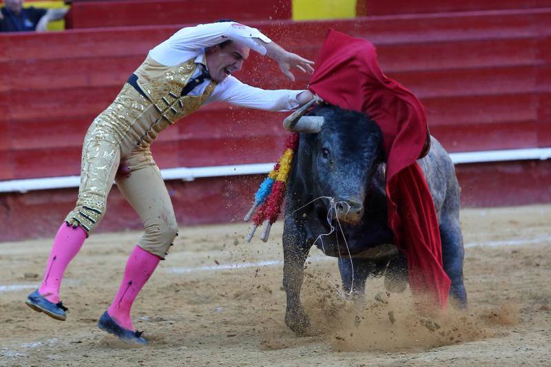 El segundo toro de la tarde de la  primera corrida de la Feria de Fallas de Valencia , llamado el Enterado, abrió el frasco de las emociones fuertes y en un plis plas atrapó de mala manera a Octavio Chacón y le hirió en la bolsa testicular, zona de tan mala prensa en la actualidad como imprescindible para bregar con los toros y hasta con la vida. Aguantó en el ruedo estoico y entero hasta rematar de un estoconazo digno del cincel de Benlliure. Logró un oreja y ovación con saludos en la primera corrida de la Feria de Fallas en Valencia.