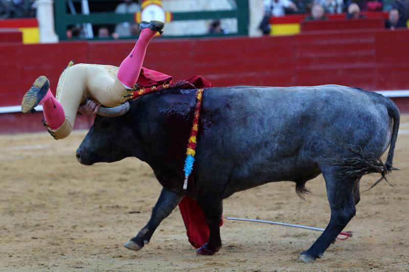 El segundo toro de la tarde de la  primera corrida de la Feria de Fallas de Valencia , llamado el Enterado, abrió el frasco de las emociones fuertes y en un plis plas atrapó de mala manera a Octavio Chacón y le hirió en la bolsa testicular, zona de tan mala prensa en la actualidad como imprescindible para bregar con los toros y hasta con la vida. Aguantó en el ruedo estoico y entero hasta rematar de un estoconazo digno del cincel de Benlliure. Logró un oreja y ovación con saludos en la primera corrida de la Feria de Fallas en Valencia.