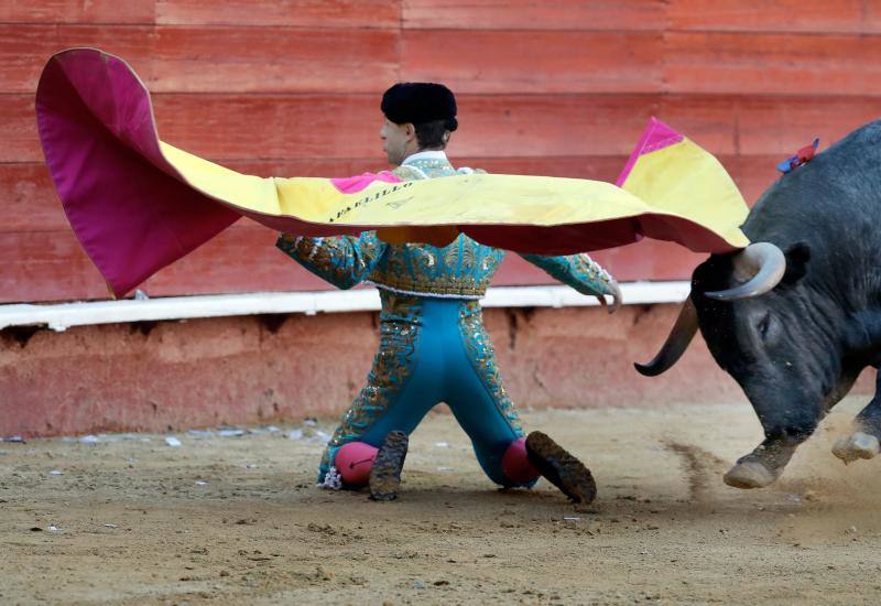 El segundo toro de la tarde de la  primera corrida de la Feria de Fallas de Valencia , llamado el Enterado, abrió el frasco de las emociones fuertes y en un plis plas atrapó de mala manera a Octavio Chacón y le hirió en la bolsa testicular, zona de tan mala prensa en la actualidad como imprescindible para bregar con los toros y hasta con la vida. Aguantó en el ruedo estoico y entero hasta rematar de un estoconazo digno del cincel de Benlliure. Logró un oreja y ovación con saludos en la primera corrida de la Feria de Fallas en Valencia.