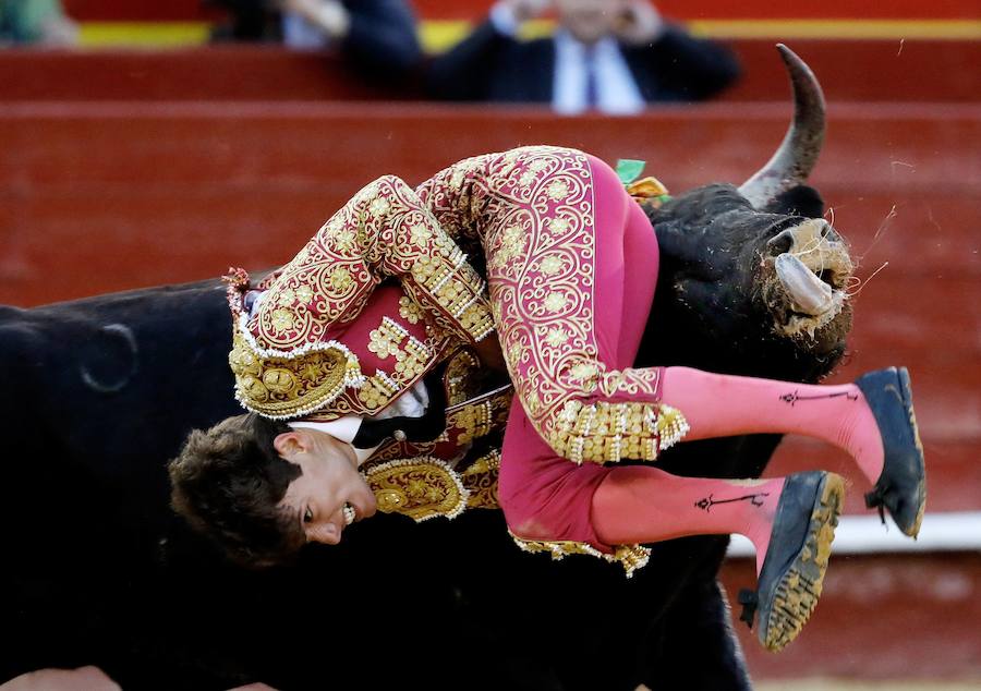 Corrida de toros del martes 12 de marzo en la Feria de Fallas: oreja para Borja Collado, corneado como San Román