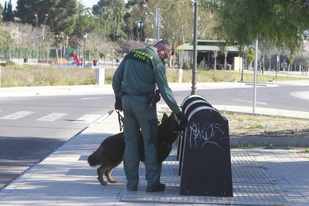 Un guardia civil inspecciona una papelera en Rocafort. 