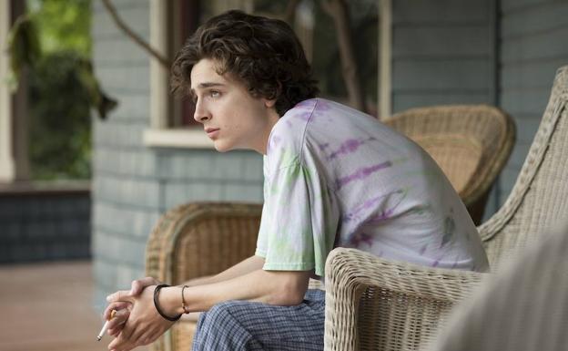 Timothée Chalamet, un adicto en 'Beautiful Boy'.