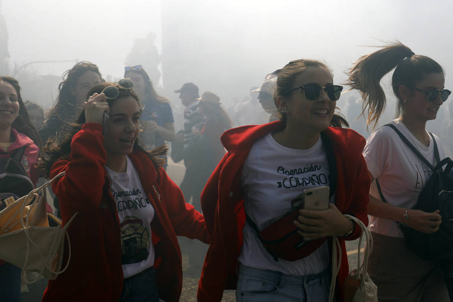 Fotos: La fiesta està en la calle