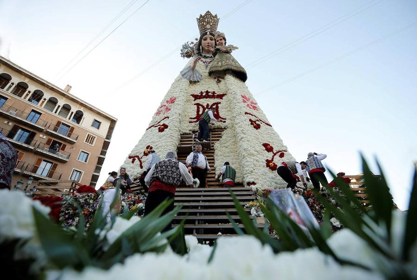 La Ofrenda concluyó este lunes después de que miles de falleros desfilaran para llevar las flores a la Virgen de los Desamparados. Este martes, a la luz del día se ha desvelado ante los ojos de los valencianos el aspecto definitivo del manto de la 'Geperudeta'. Claveles blancos, rojos y rosas componen componen el diseño del vestidor Rafael Chordá. Un floreado manto con el blanco como color predominante y que preside estos días la plaza de la Virgen, ante su basílica.