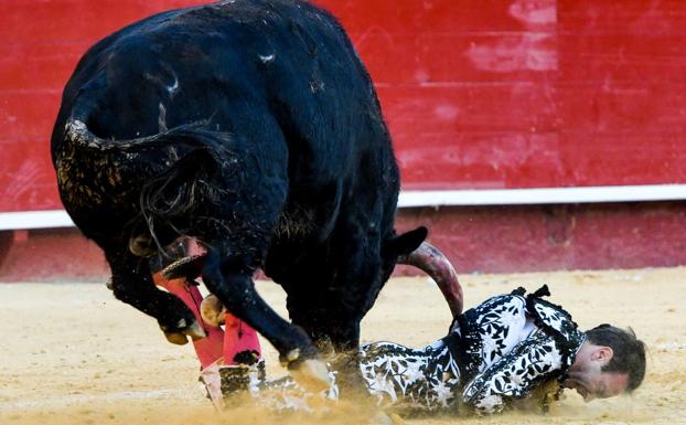 Fotos. La escalofriante cogida a Ponce el 18 de marzo en Valencia.