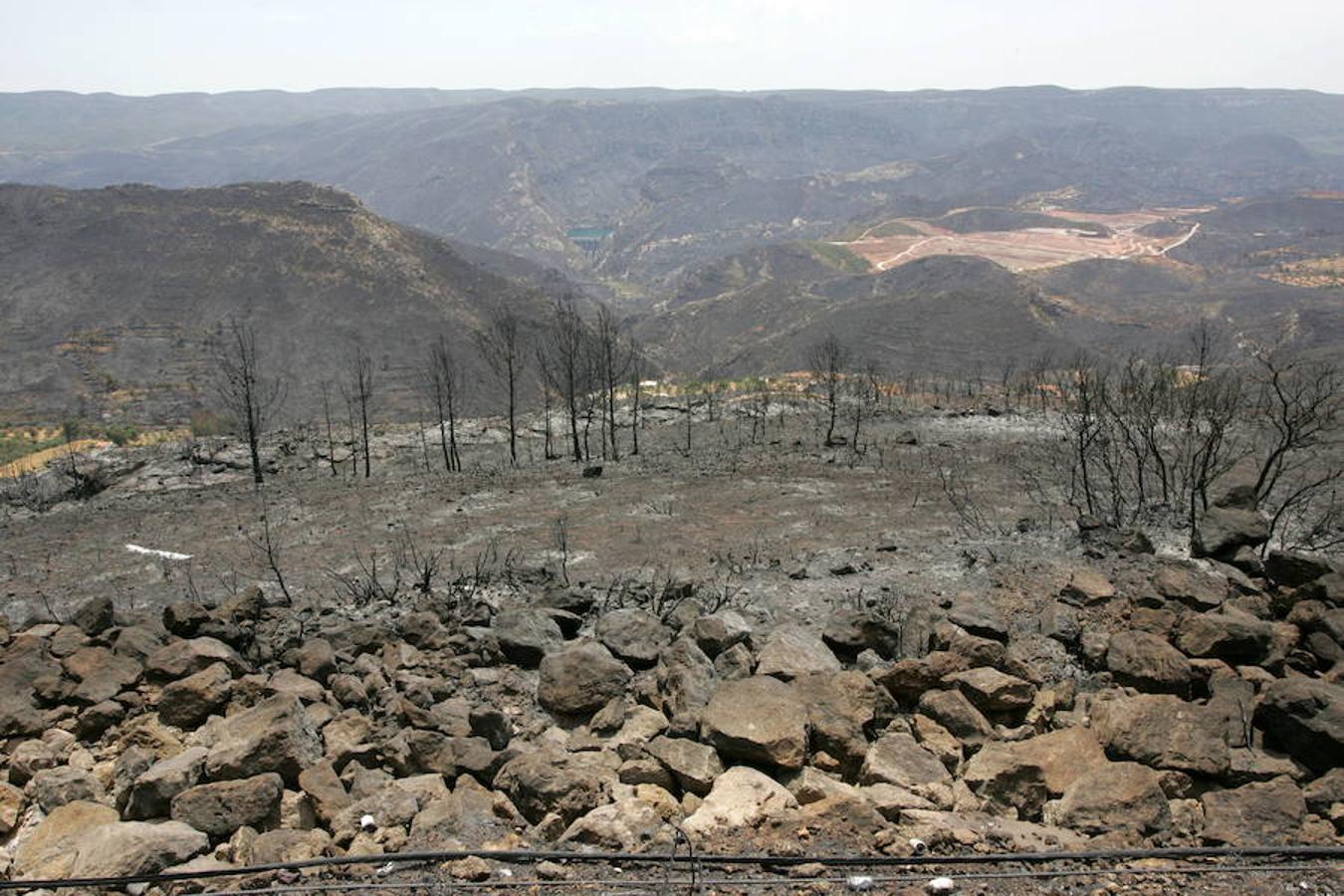 Fotos: Así quedó la localidad de Cortes tras el incendio