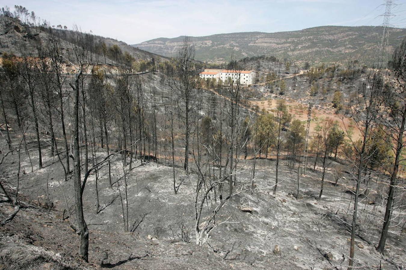 Fotos: Así quedó la localidad de Cortes tras el incendio