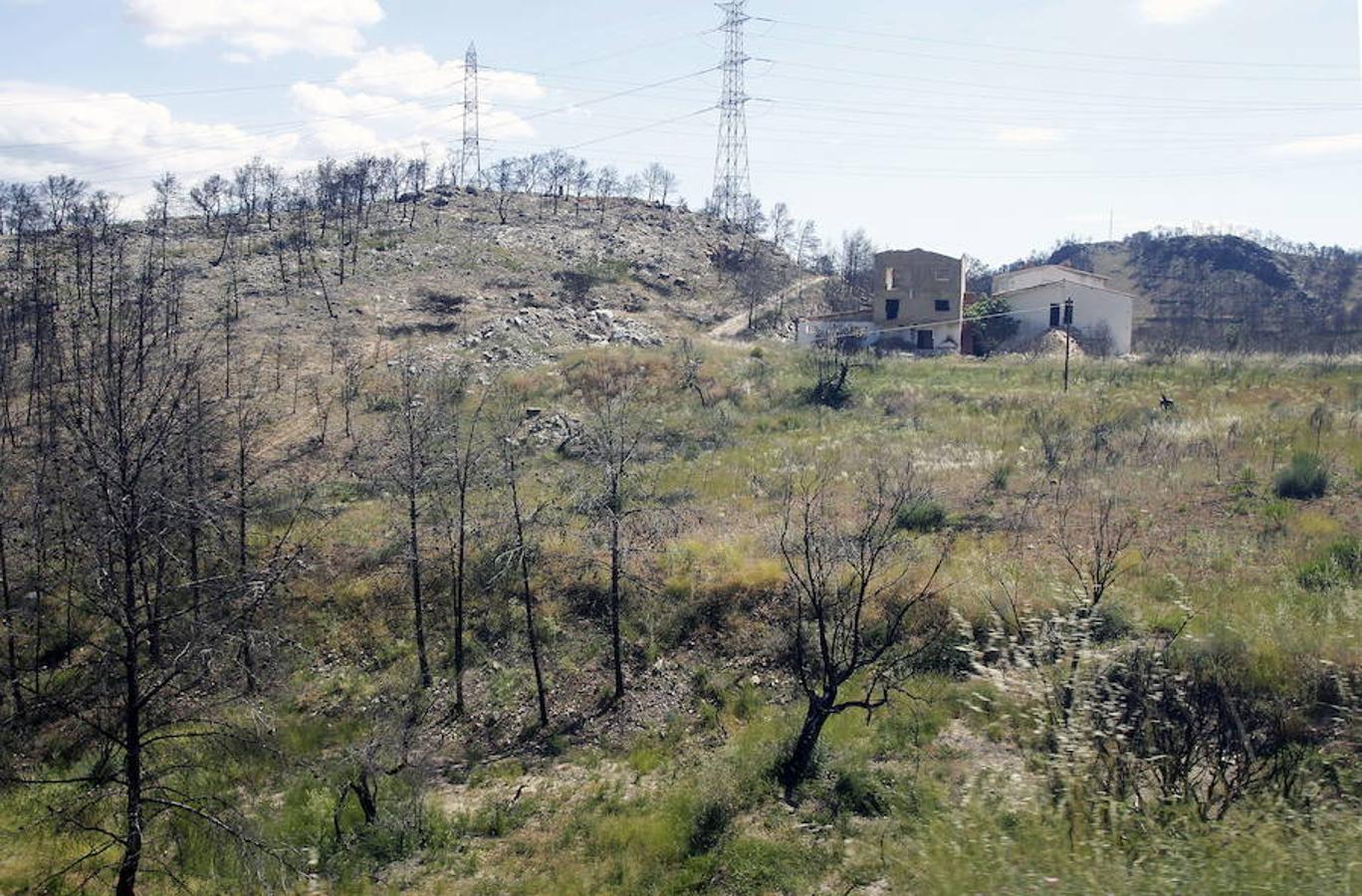 Fotos: Así quedó la localidad de Cortes tras el incendio