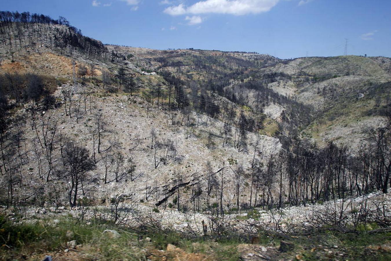 Fotos: Así quedó la localidad de Cortes tras el incendio