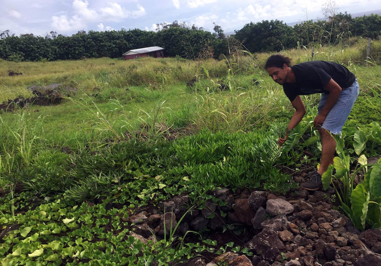 "La primera señal del cambio climático aquí en la isla es el hecho de que los humedales se han secado por completo", ha contado en una entrevista Tahira Edmunds, asesora local de la agencia de desarrollo vinculada al gobierno chileno.