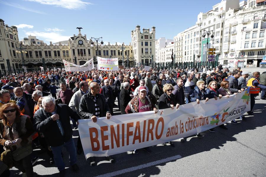 Fotos: Citricultures toman Valencia