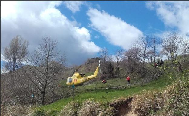 un helicóptero ha trasladado a la niña al hospital. 