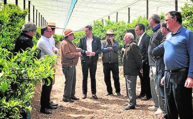La Diputación de Alicante refuerza el apoyo a los agricultores
