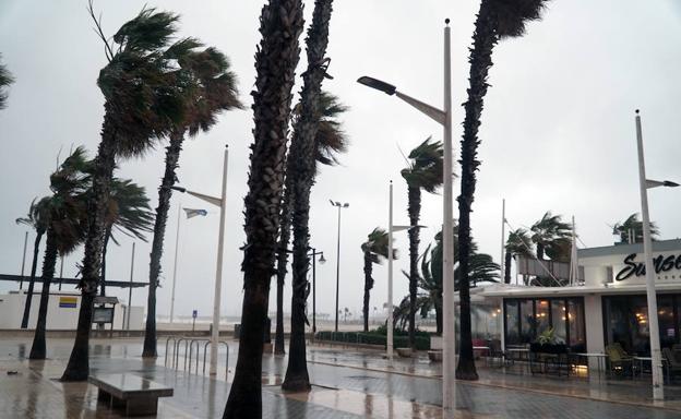 Valencia ciudad ha recogido 32 litros en 24 horas. 