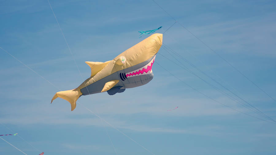 Todo tipo de animales, formas, figuras y banderas ha sobre volado el cielo de Valencia en el XXI Festival de Milotxes que se ha celebrado este fin de semana en la playa del Cabanyal. Alrededor de 100 participantes provenientes de Alemania, Chile y Argentina, junto a los pilotos valencianos y del resto de España, han competido en las modalidades de exhibición de vuelo acrobático individual, vuelo acrobático en equipo, y mejor cometa estática de construcción propia.