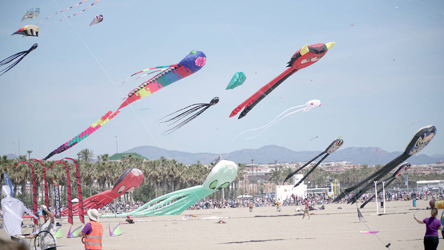 Todo tipo de animales, formas, figuras y banderas ha sobre volado el cielo de Valencia en el XXI Festival de Milotxes que se ha celebrado este fin de semana en la playa del Cabanyal. Alrededor de 100 participantes provenientes de Alemania, Chile y Argentina, junto a los pilotos valencianos y del resto de España, han competido en las modalidades de exhibición de vuelo acrobático individual, vuelo acrobático en equipo, y mejor cometa estática de construcción propia.
