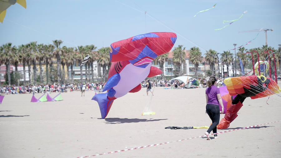 Todo tipo de animales, formas, figuras y banderas ha sobre volado el cielo de Valencia en el XXI Festival de Milotxes que se ha celebrado este fin de semana en la playa del Cabanyal. Alrededor de 100 participantes provenientes de Alemania, Chile y Argentina, junto a los pilotos valencianos y del resto de España, han competido en las modalidades de exhibición de vuelo acrobático individual, vuelo acrobático en equipo, y mejor cometa estática de construcción propia.