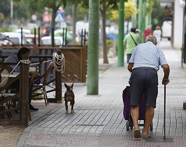 Una persona mayor se ayuda de un bastón para caminar por una calle de Valencia. 