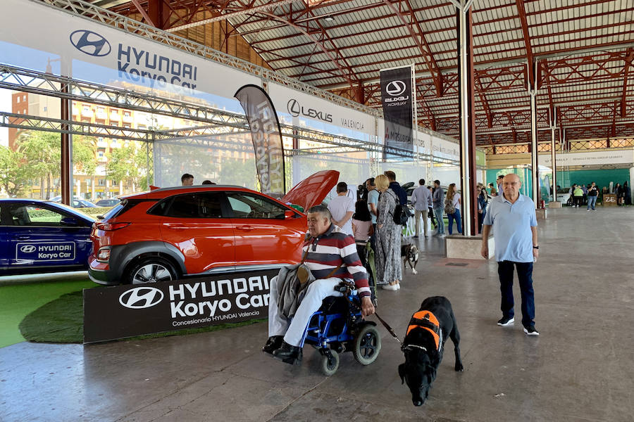 Éxito rotundo de la Feria ECOMOV. Miles de personas se han acercado a La Marina de Valencia para conocer las últimas novedades en eco-movilidad: coches, motos y bicicletas eléctricas. Del viernes 17 al domingo 19 de mayo, se han realizado cientos de pruebas para dar a conocer al público la realidad de los nuevos vehículos ecológicos.