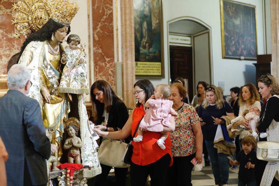 La Basílica de la Virgen de los Desamparados ha abierto sus puertas a las 7 horas de este miércoles para el tradicional Besamanos a la patrona de Valencia, cuando ya cientos de valencianos esperaban en la plaza de la Virgen, algunos de ellos doce horas, desde las siete de la tarde del martes