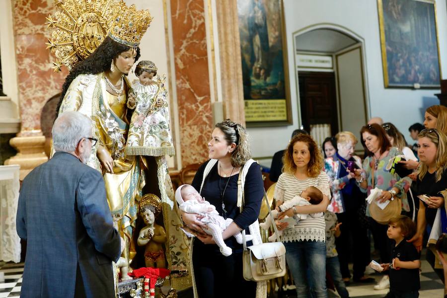 La Basílica de la Virgen de los Desamparados ha abierto sus puertas a las 7 horas de este miércoles para el tradicional Besamanos a la patrona de Valencia, cuando ya cientos de valencianos esperaban en la plaza de la Virgen, algunos de ellos doce horas, desde las siete de la tarde del martes