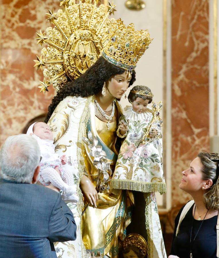 La Basílica de la Virgen de los Desamparados ha abierto sus puertas a las 7 horas de este miércoles para el tradicional Besamanos a la patrona de Valencia, cuando ya cientos de valencianos esperaban en la plaza de la Virgen, algunos de ellos doce horas, desde las siete de la tarde del martes