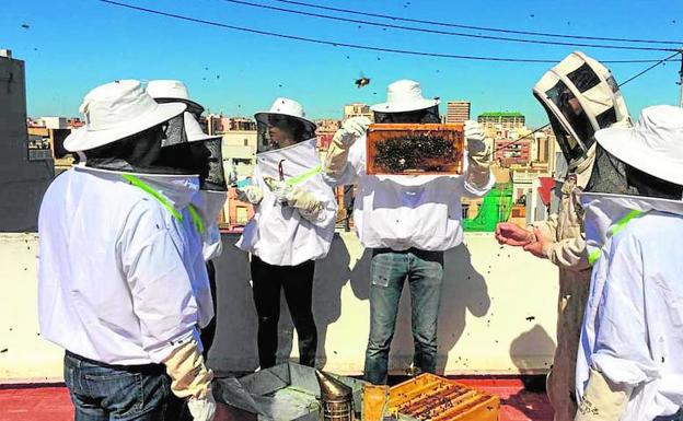 Miembros de la asociación, junto a las colmenas que tienen en el Cabanyal.