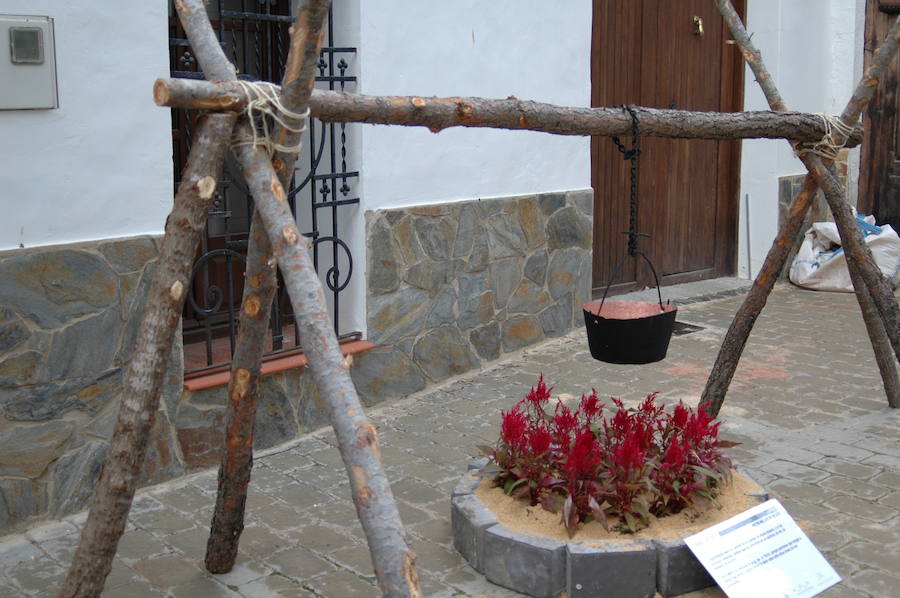 Los aromas y colores de las flores se han adueñado de Aras de los Olmos (Valencia). Durante la primavera, esta localidad situada Los Serranos cubre sus calles, fachadas con cientos de plantas y arte efímero. La exposición de las propuestas presentadas en «Aras en flor» se podrá visitar hasta el 30 de junio Los diseñadores de paisajes han tenido que defender la sostenibilidad, belleza y creatividad de la propuesta. Además de combinar flores y plantas con materiales del entorno utilizados históricamente por los vecinos y vecinas. Esta pequeña localidad del interior de la Comunitat Valenciana aguarda entre montes como un remanso de paz que fue poblado por íberos, romanos y árabes, Incluso, formó parte de la Orden de Montesa en 1318. Y todas estas culturas se han quedado guardadas entre sus callejuelas. 