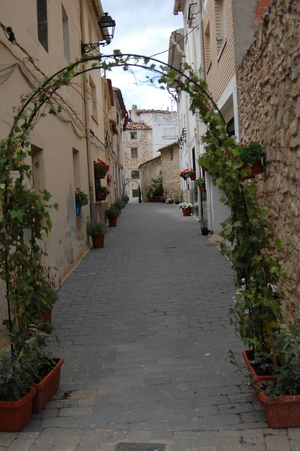 Los aromas y colores de las flores se han adueñado de Aras de los Olmos (Valencia). Durante la primavera, esta localidad situada Los Serranos cubre sus calles, fachadas con cientos de plantas y arte efímero. La exposición de las propuestas presentadas en «Aras en flor» se podrá visitar hasta el 30 de junio Los diseñadores de paisajes han tenido que defender la sostenibilidad, belleza y creatividad de la propuesta. Además de combinar flores y plantas con materiales del entorno utilizados históricamente por los vecinos y vecinas. Esta pequeña localidad del interior de la Comunitat Valenciana aguarda entre montes como un remanso de paz que fue poblado por íberos, romanos y árabes, Incluso, formó parte de la Orden de Montesa en 1318. Y todas estas culturas se han quedado guardadas entre sus callejuelas. 