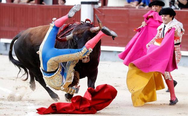 Cogida en Las Ventas de Román.