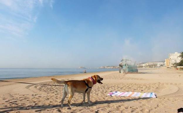 Playa del Barranquet