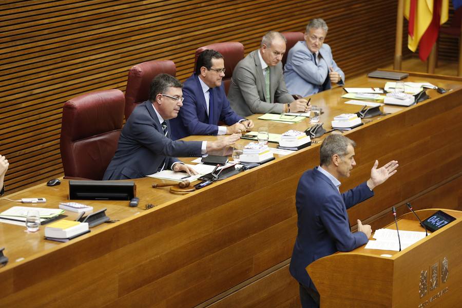 Fotos: Pleno de investidura de Ximo Puig en Les Corts