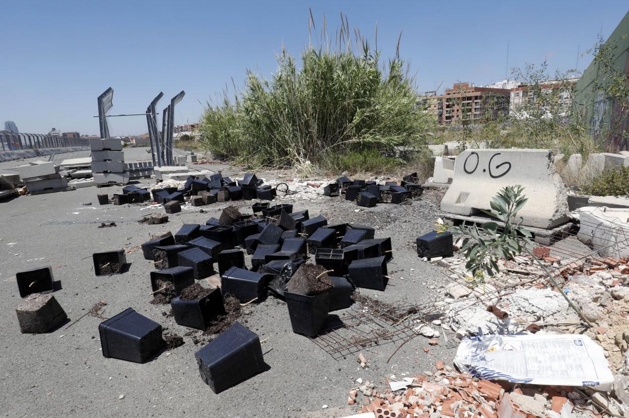 Algunos de los restos de plantas abandonadas junto al antiguo circuito. 