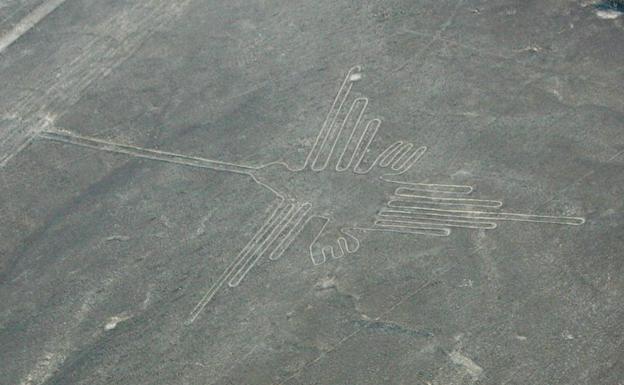 Una de las aves dibujadas en Nazca. 