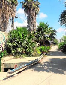Imagen secundaria 2 - 1. Naves industriales sin uso y en mal estado de conservación. 2. Algunos de los campos completamente abandonados en La Punta. 3. Caminos repletos de maleza y con escaso alumbrado.