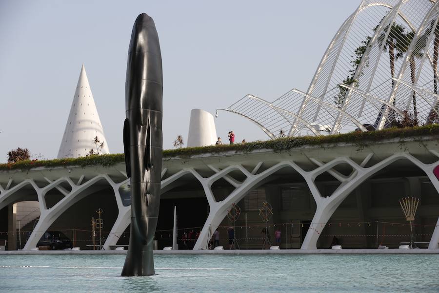 Minna, Isabella, Laura Asia, Maria, Laurelle, Carla y Silvia. Son los nombres de las grandes esculturas del artista Jaume Plensa que desde este jueves 26 de junio lucen en la Ciudad de las Ciencias de Valencia. La exposición, que se podrá ver hasta el 3 de noviembre, es todo un «homenaje a la feminidad», ha dicho el artista barcelonés. Plensa ha descrito la muestra, creada para Valencia, como una celebración de la mujer «en su diversidad». El creador ha vuelto a la capital del Turia tras más de una década para quedarse. La propia Hortensia Herrero ha afirmado que comprará «dos de estas cabezas escultóricas: una a título personal y otra al de la Fundación».