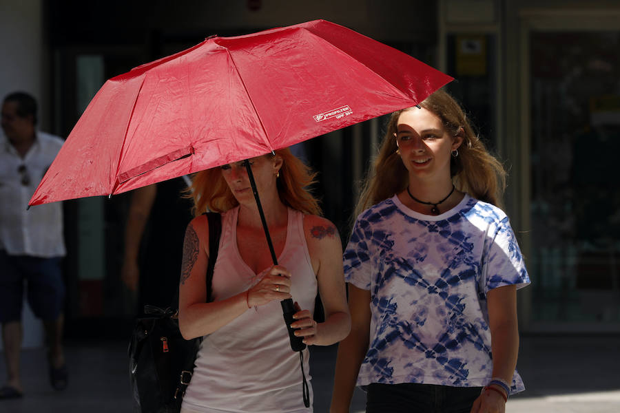 Temperaturas cercanas a los 40 grados en algunas poblaciones y las vacaciones aún lejos para muchos, empujan a los valencianos a buscar fórmulas para combatir el calor. Playas, piscinas y hasta fuentes son buenas para refrescarse. Hasta los animales del Bioparc tienen su ración de helado.