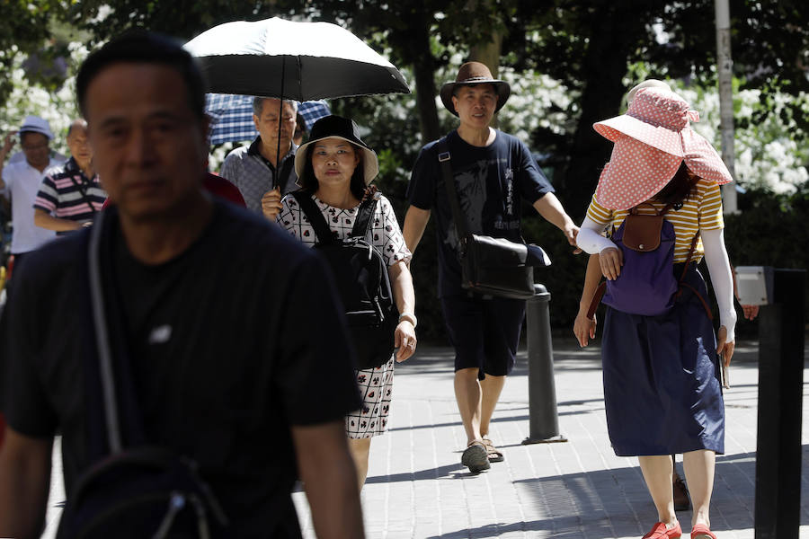 Temperaturas cercanas a los 40 grados en algunas poblaciones y las vacaciones aún lejos para muchos, empujan a los valencianos a buscar fórmulas para combatir el calor. Playas, piscinas y hasta fuentes son buenas para refrescarse. Hasta los animales del Bioparc tienen su ración de helado.