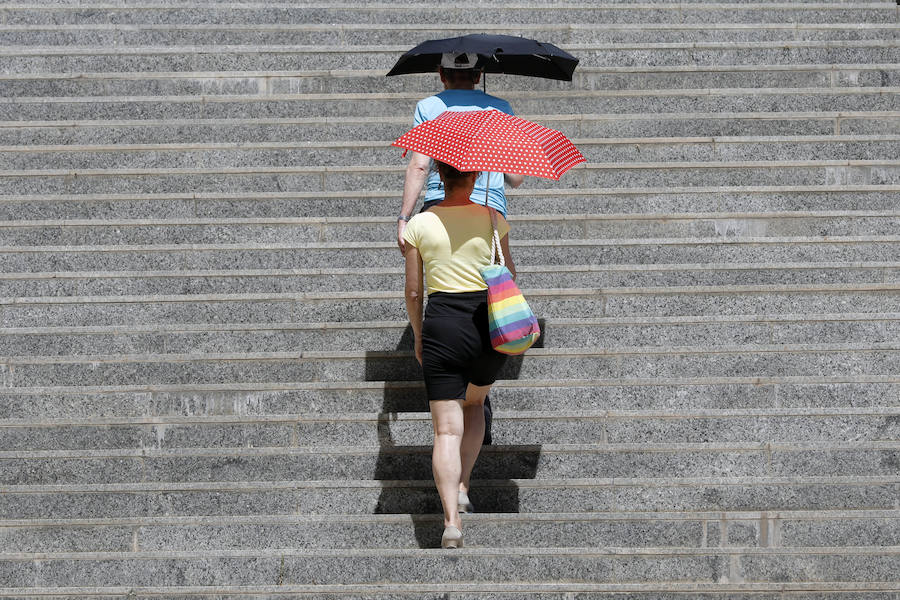 Temperaturas cercanas a los 40 grados en algunas poblaciones y las vacaciones aún lejos para muchos, empujan a los valencianos a buscar fórmulas para combatir el calor. Playas, piscinas y hasta fuentes son buenas para refrescarse. Hasta los animales del Bioparc tienen su ración de helado.