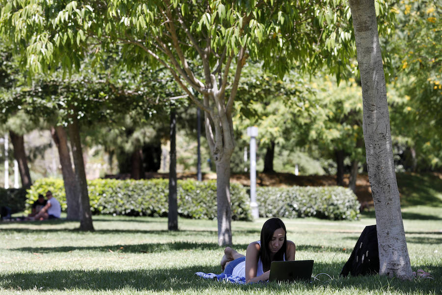 Temperaturas cercanas a los 40 grados en algunas poblaciones y las vacaciones aún lejos para muchos, empujan a los valencianos a buscar fórmulas para combatir el calor. Playas, piscinas y hasta fuentes son buenas para refrescarse. Hasta los animales del Bioparc tienen su ración de helado.