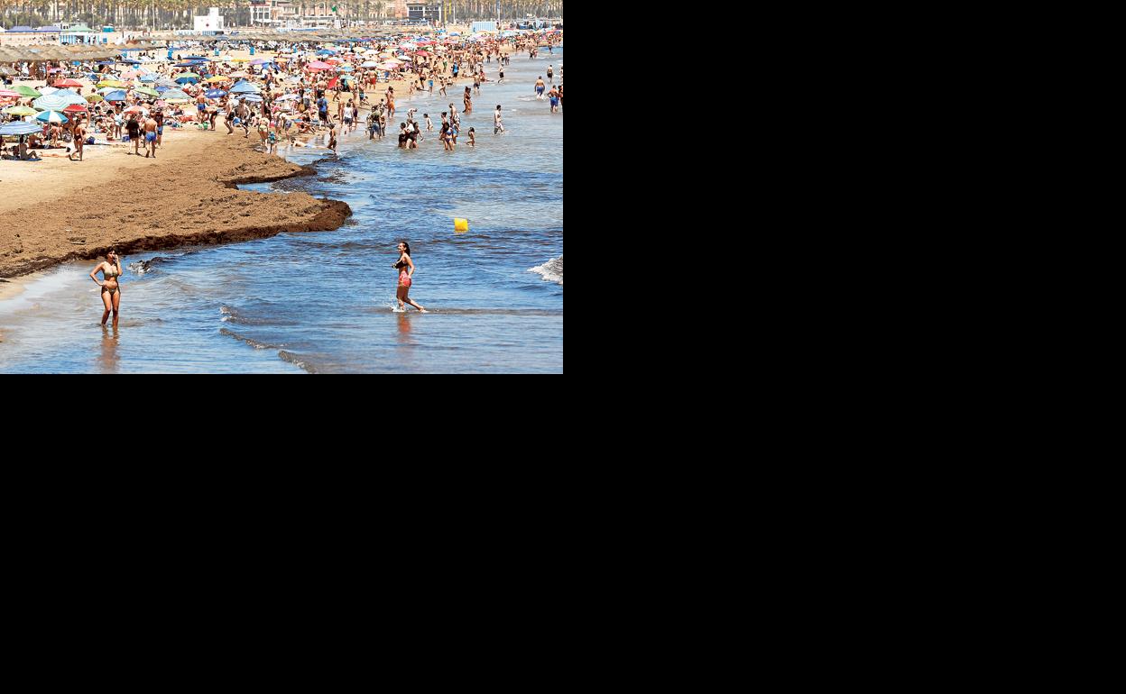 Las playas de la ciudad de Valencia, con visitantes ya en junio.