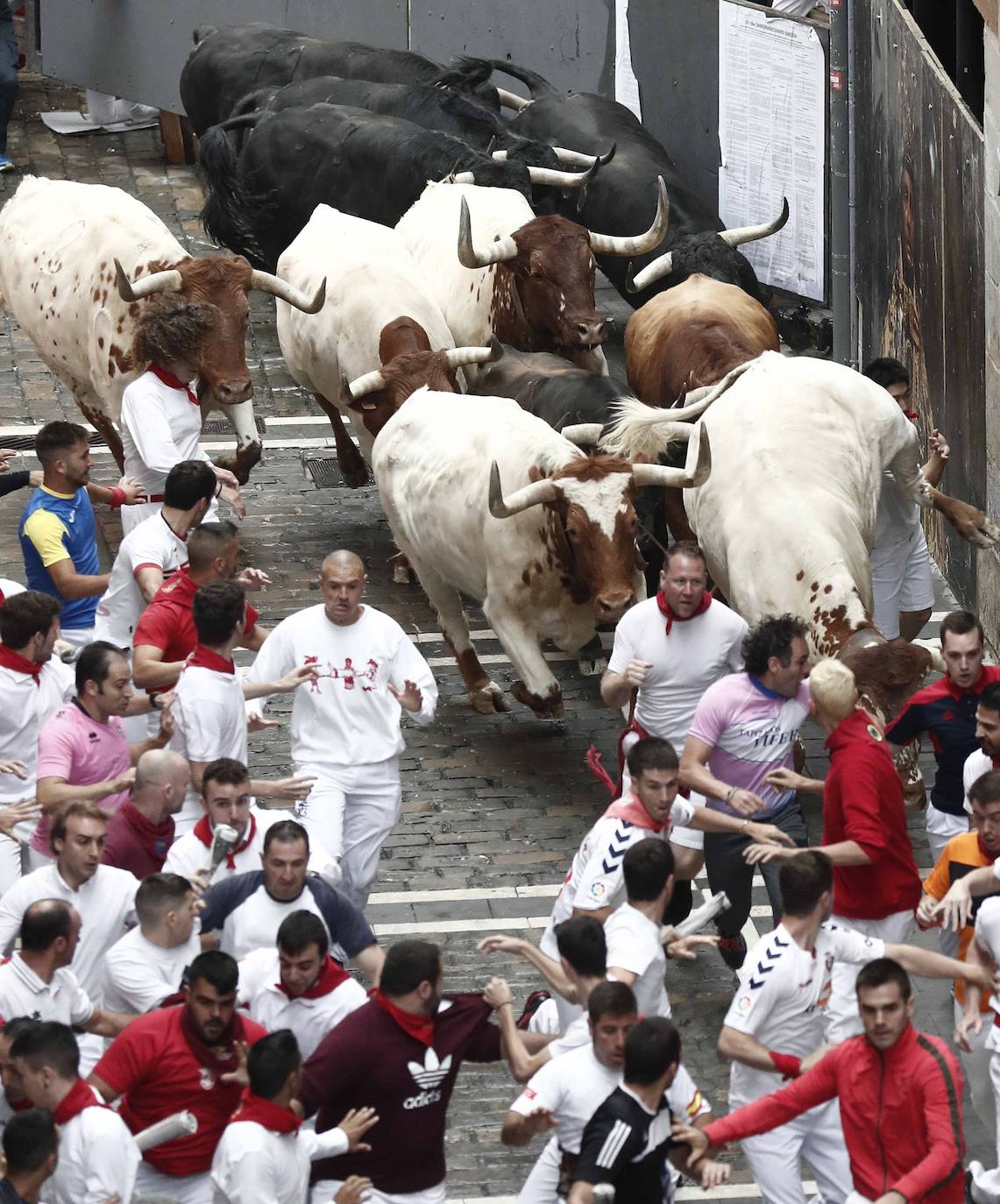 Los toros de El Puerto de San Lorenzo recorren rápidos el trazado de Pamplona dejando varios heridos en el primer encierro de San Fermín 2019.