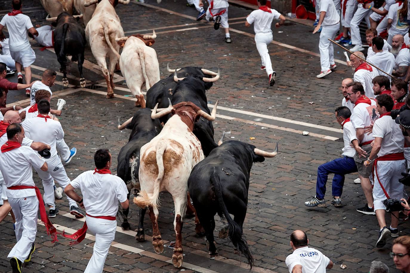 Los toros de El Puerto de San Lorenzo recorren rápidos el trazado de Pamplona dejando varios heridos en el primer encierro de San Fermín 2019.