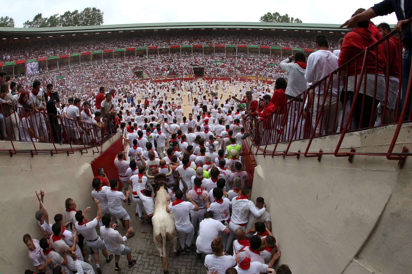 Los toros de El Puerto de San Lorenzo recorren rápidos el trazado de Pamplona dejando varios heridos en el primer encierro de San Fermín 2019.