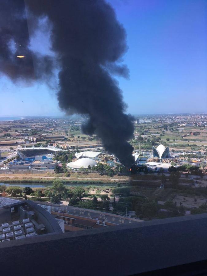 Fotos: Incendio en l&#039;Oceanogràfic de Valencia