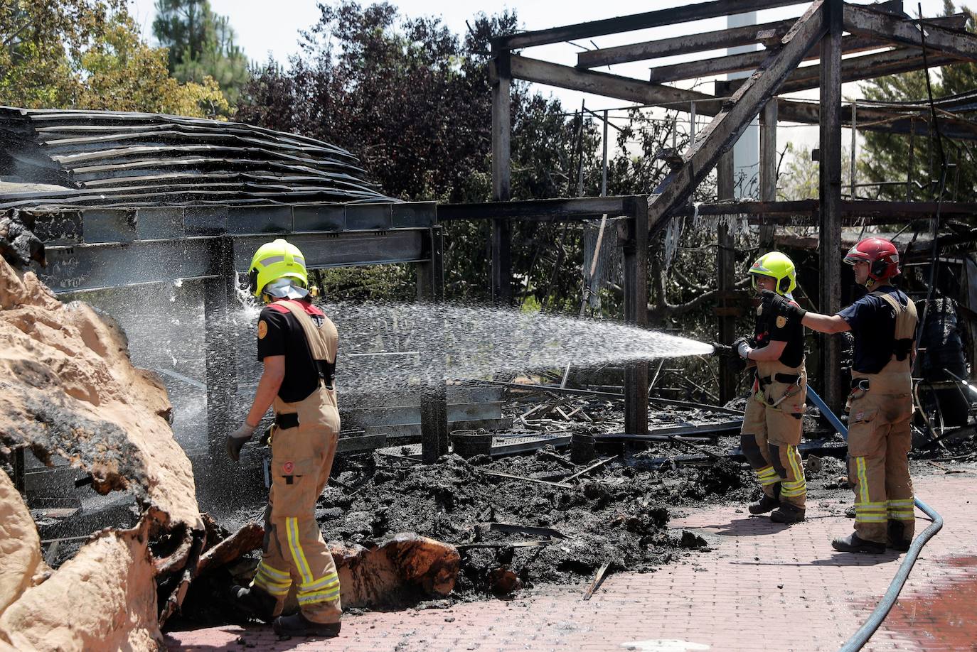 Fotos: Incendio en l&#039;Oceanogràfic de Valencia